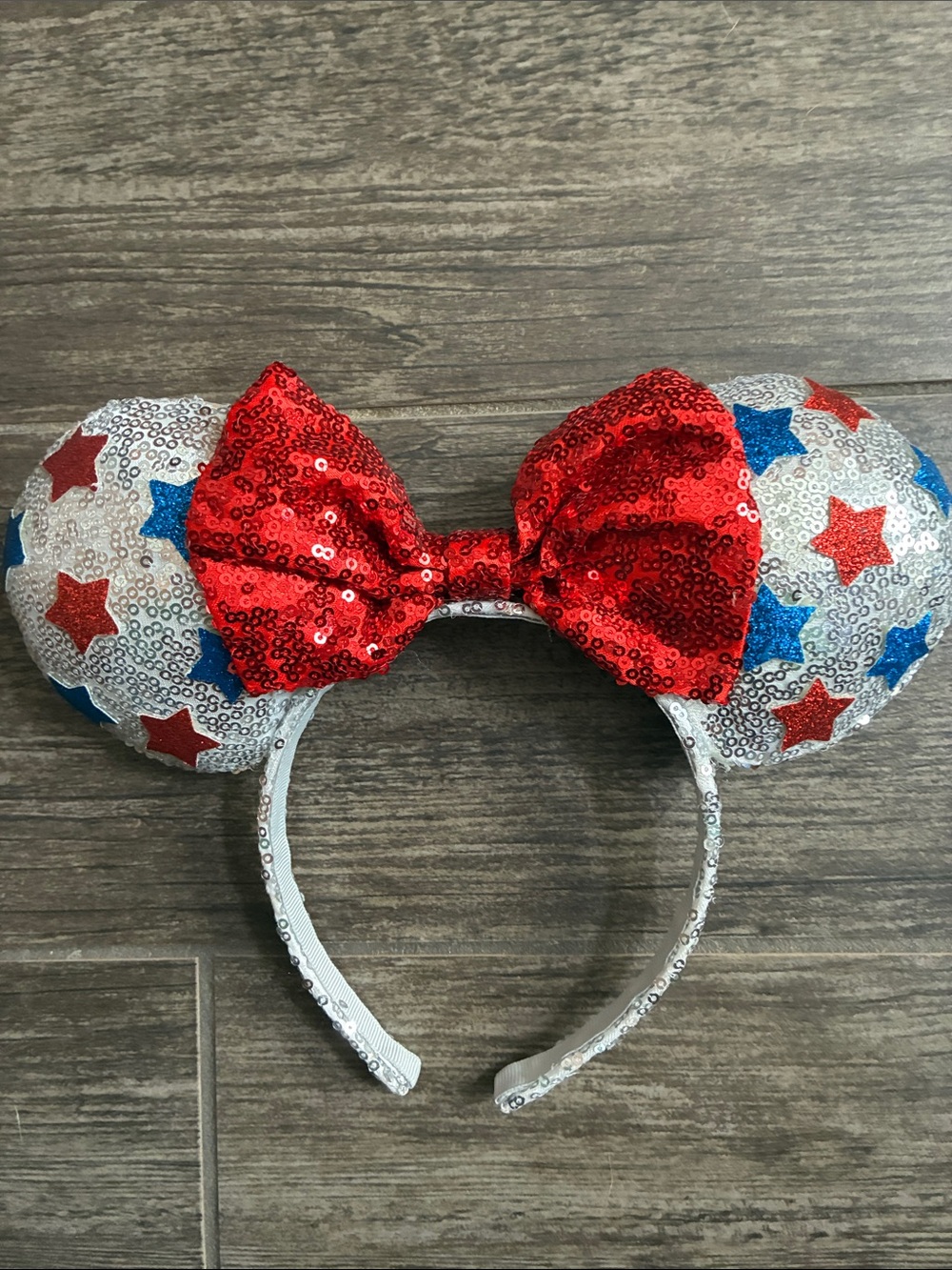 NWOT Disney ears
